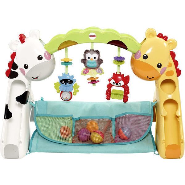 Fisher price Newborn-to-Toddler Play Gym CCB70