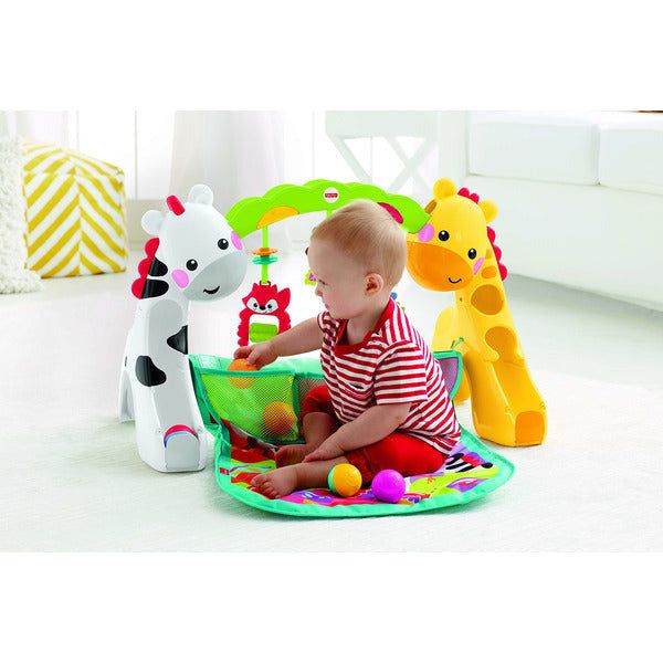 Fisher price Newborn-to-Toddler Play Gym CCB70